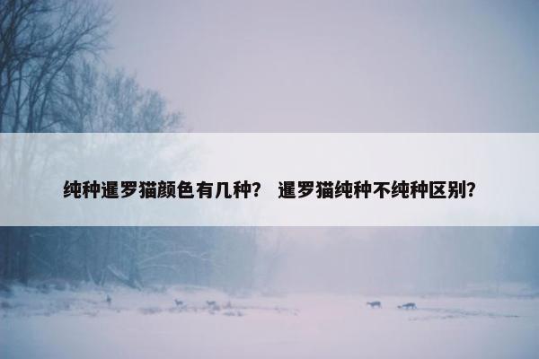 纯种暹罗猫颜色有几种？ 暹罗猫纯种不纯种区别？