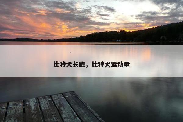 比特犬长跑，比特犬运动量