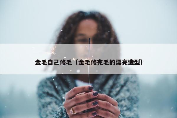 金毛自己修毛（金毛修完毛的漂亮造型）