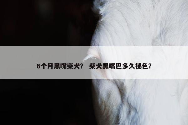 6个月黑嘴柴犬？ 柴犬黑嘴巴多久褪色？