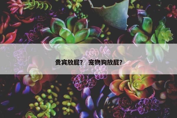 放屁