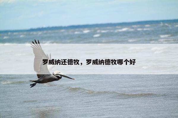 罗威纳 第12页