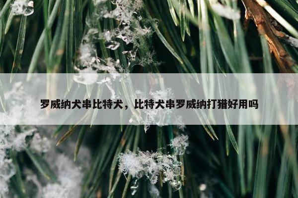 罗威纳犬串比特犬，比特犬串罗威纳打猎好用吗