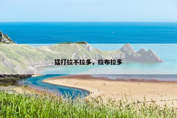 猛打拉不拉多，拉布拉多