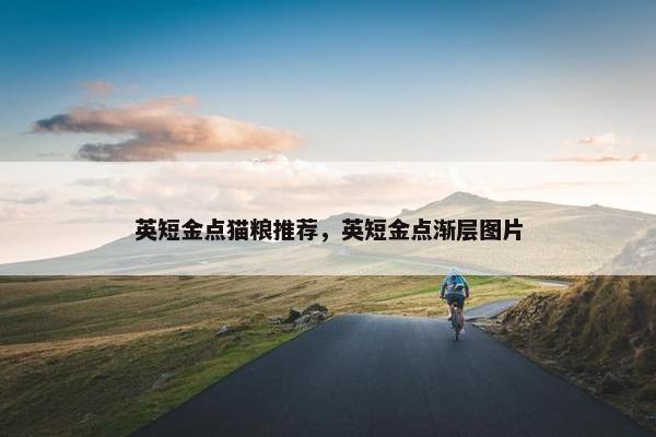 英短金点猫粮推荐，英短金点渐层图片