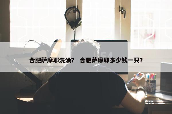合肥萨摩耶洗澡？ 合肥萨摩耶多少钱一只？