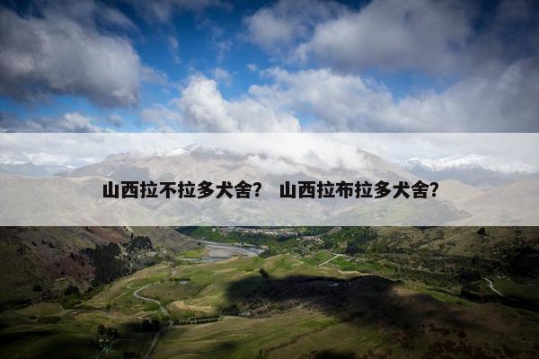山西拉不拉多犬舍？ 山西拉布拉多犬舍？