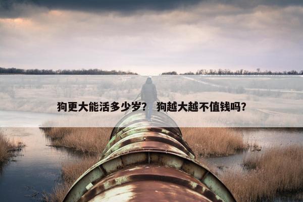 狗更大能活多少岁？ 狗越大越不值钱吗？