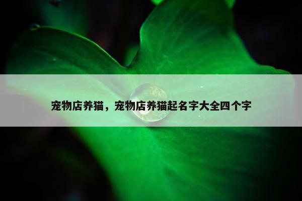 宠物店养猫，宠物店养猫起名字大全四个字