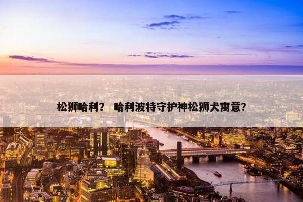 松狮哈利？ 哈利波特守护神松狮犬寓意？