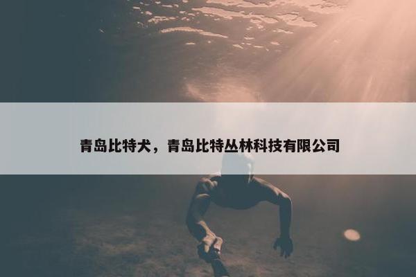 青岛比特犬，青岛比特丛林科技有限公司