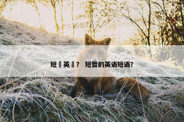 英文