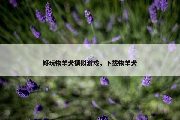 好玩牧羊犬模拟游戏，下载牧羊犬