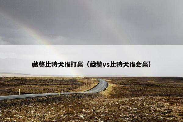 藏獒比特犬谁打赢（藏獒vs比特犬谁会赢）