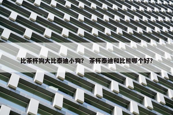 比茶杯狗大比泰迪小狗？ 茶杯泰迪和比熊哪个好？