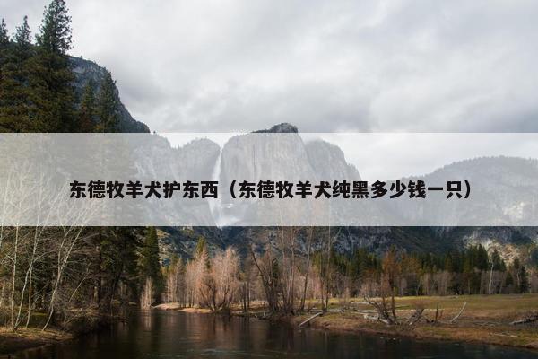 东德牧羊犬护东西（东德牧羊犬纯黑多少钱一只）