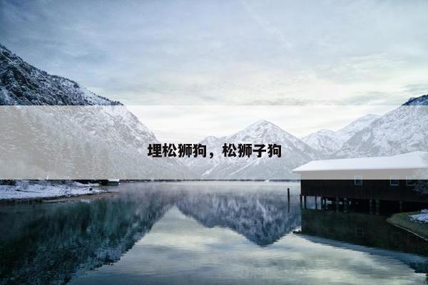 埋松狮狗，松狮子狗