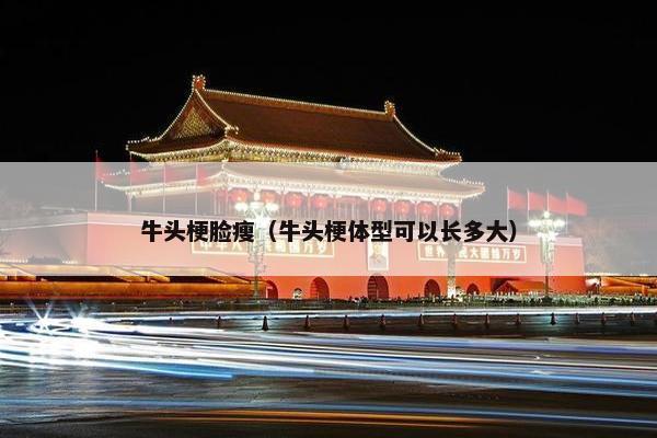 英国 第5页