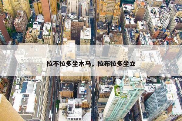 拉不拉多坐木马，拉布拉多坐立