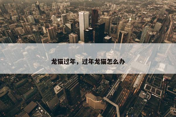 龙猫过年，过年龙猫怎么办