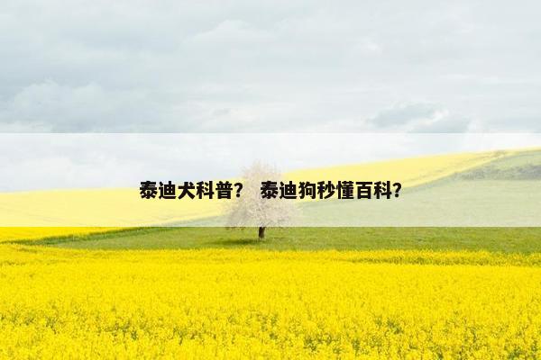 泰迪犬科普？ 泰迪狗秒懂百科？