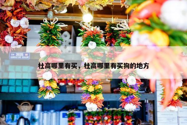 杜高哪里有买，杜高哪里有买狗的地方