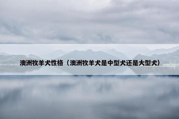 澳洲牧羊犬性格（澳洲牧羊犬是中型犬还是大型犬）