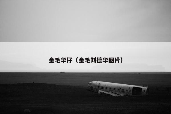 刘德华