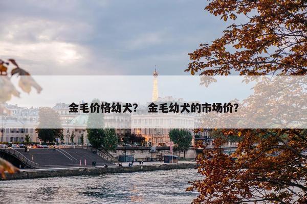 金毛价格幼犬？ 金毛幼犬的市场价？