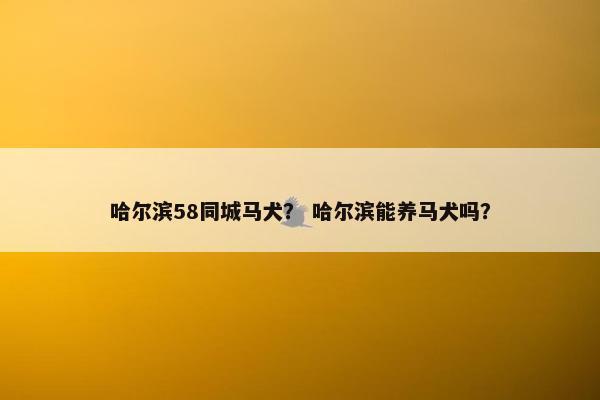 同城
