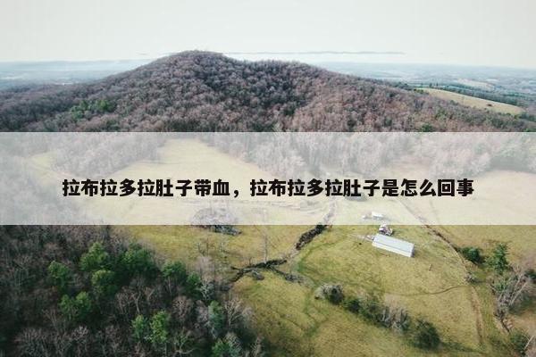 拉布拉多拉肚子带血，拉布拉多拉肚子是怎么回事