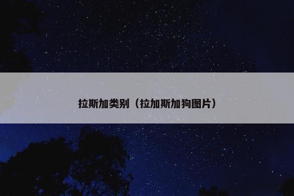 吉尔