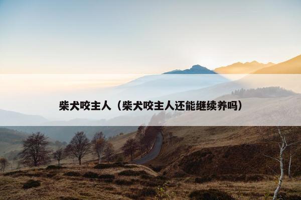 柴犬咬主人（柴犬咬主人还能继续养吗）
