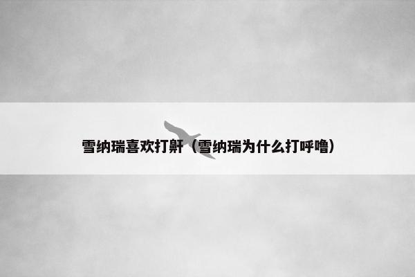雪纳瑞喜欢打鼾（雪纳瑞为什么打呼噜）