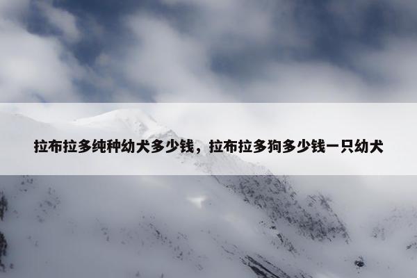 拉布拉多纯种幼犬多少钱，拉布拉多狗多少钱一只幼犬