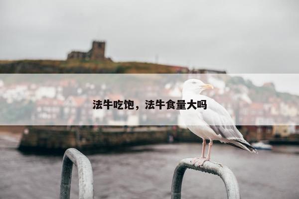 法牛吃饱，法牛食量大吗