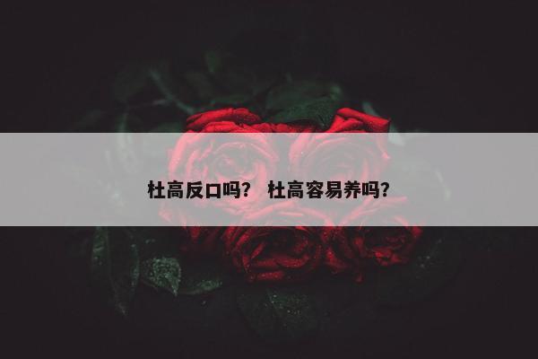 杜高反口吗？ 杜高容易养吗？