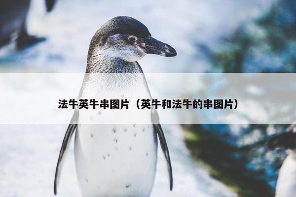 法牛英牛串图片（英牛和法牛的串图片）