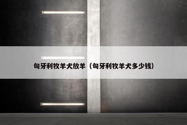 波利