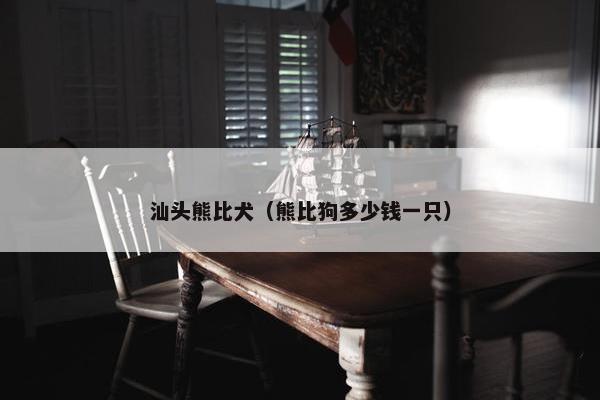 汕头熊比犬（熊比狗多少钱一只）