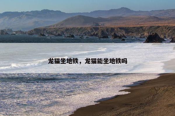 龙猫坐地铁，龙猫能坐地铁吗