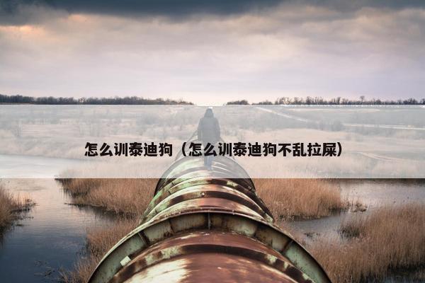 泰迪狗 第24页