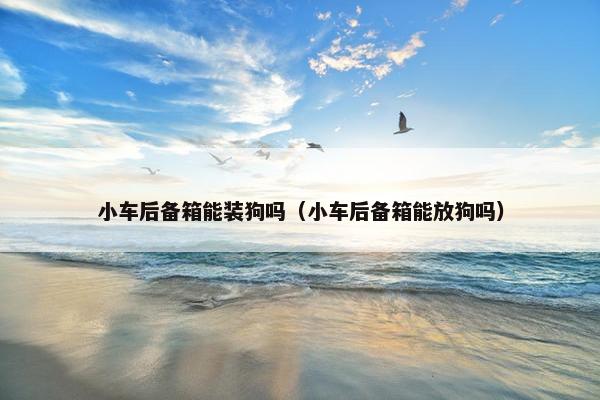 小车后备箱能装狗吗（小车后备箱能放狗吗）