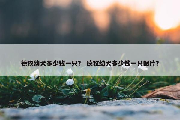 德牧幼犬多少钱一只？ 德牧幼犬多少钱一只图片？