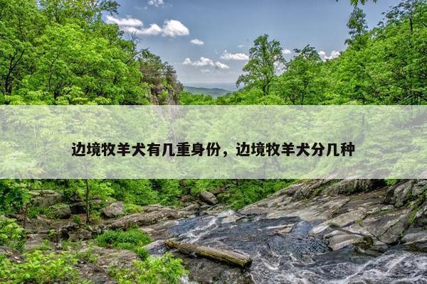 边境牧羊犬有几重身份，边境牧羊犬分几种