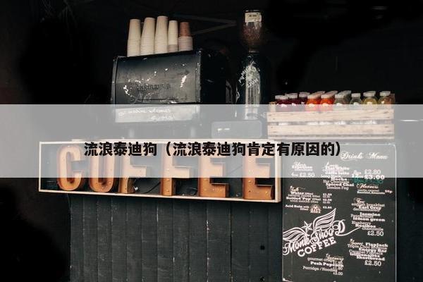 流浪泰迪狗（流浪泰迪狗肯定有原因的）