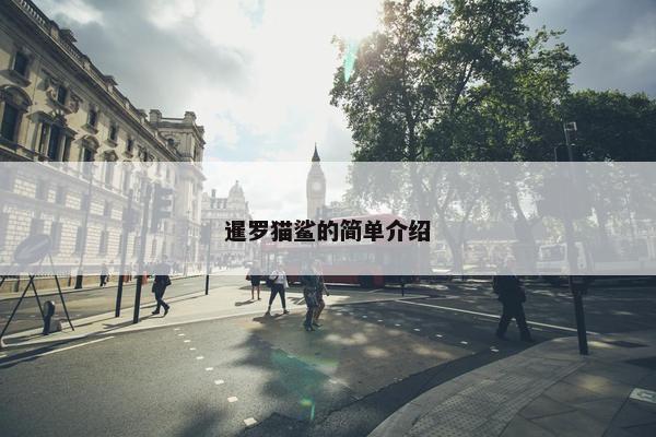 暹罗猫鲨的简单介绍