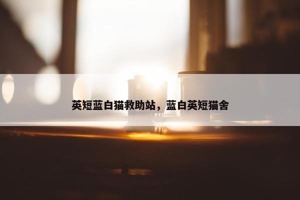 英短蓝白猫救助站，蓝白英短猫舍