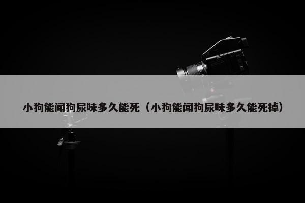 小狗能闻狗尿味多久能死（小狗能闻狗尿味多久能死掉）
