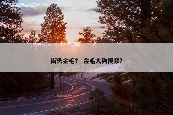 街头金毛？ 金毛大狗视频？